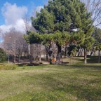 «Unamos miradas por la Educación Ambiental», 26 de enero.