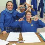 Proyecto de Tecnología y Biología: Diseño de Cajas Nido y Hoteles de Insectos