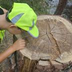 Descubriendo la Naturaleza en Familia: Boca del Asno, Segovia.