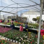 Visita a Viveros Gimeno de Valladolid