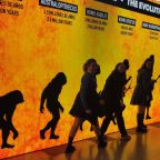 Exposición «Bodies Evolution»